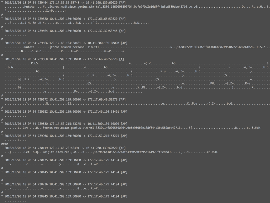 ngrep 으로 확인한 HBase 리젼서버 패킷 스트림