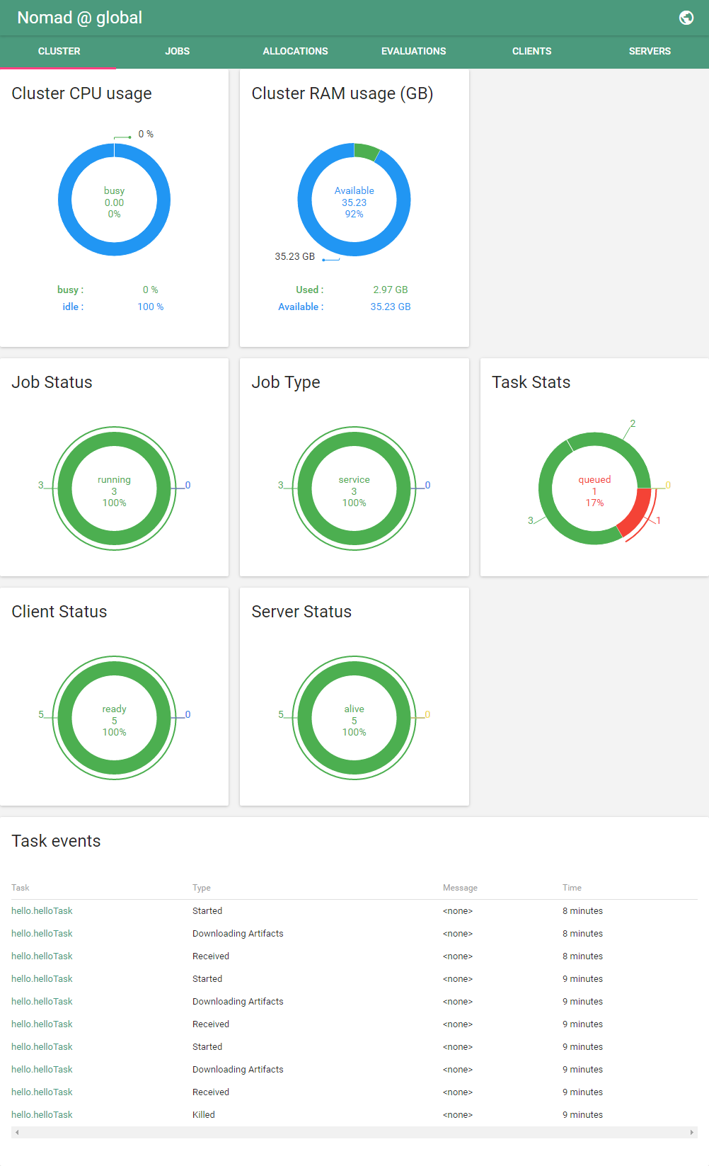 Nomad Cluster Overview