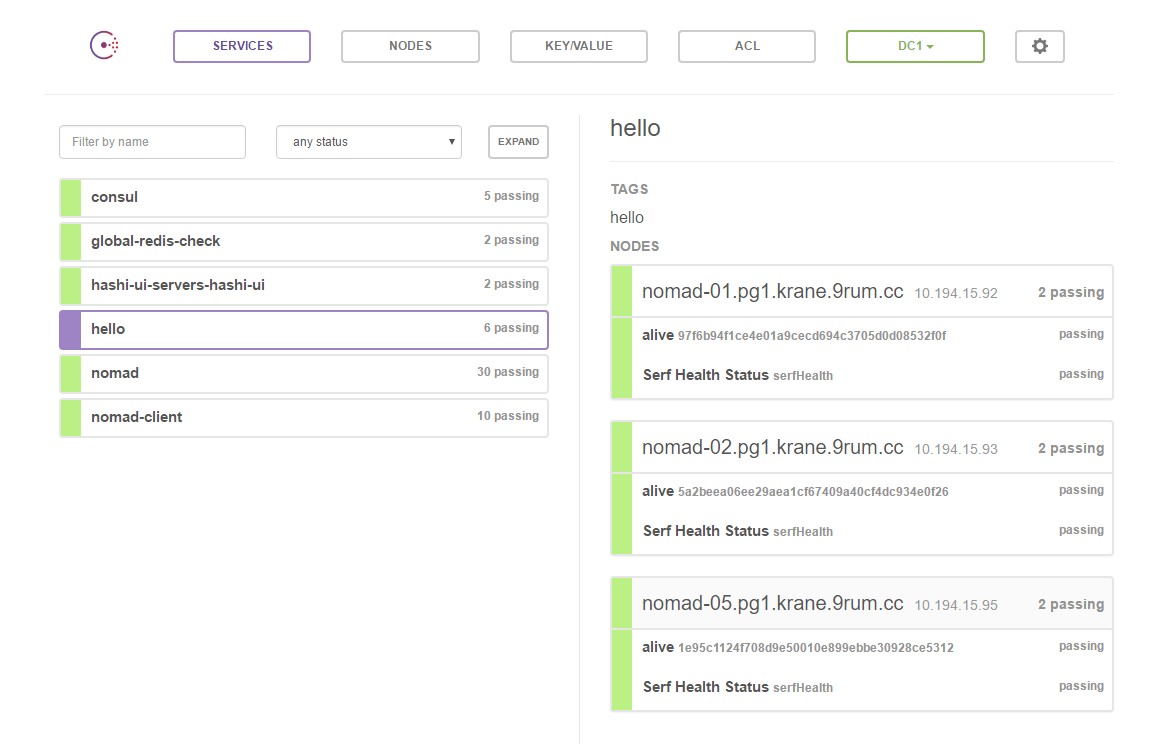 Nomad Consul Service